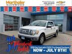 Thumbnail Photo 0 for 2010 Ford F150